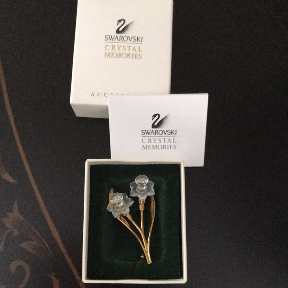 Swarovski crystal memories pin Brooch